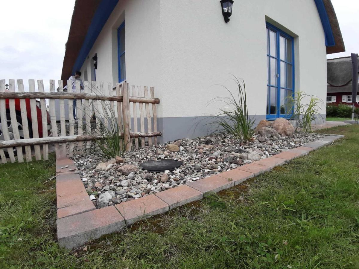 Ferienhaeuser Luv Und Lee Ovs 106 Neu 20 Zierow Bagian luar foto